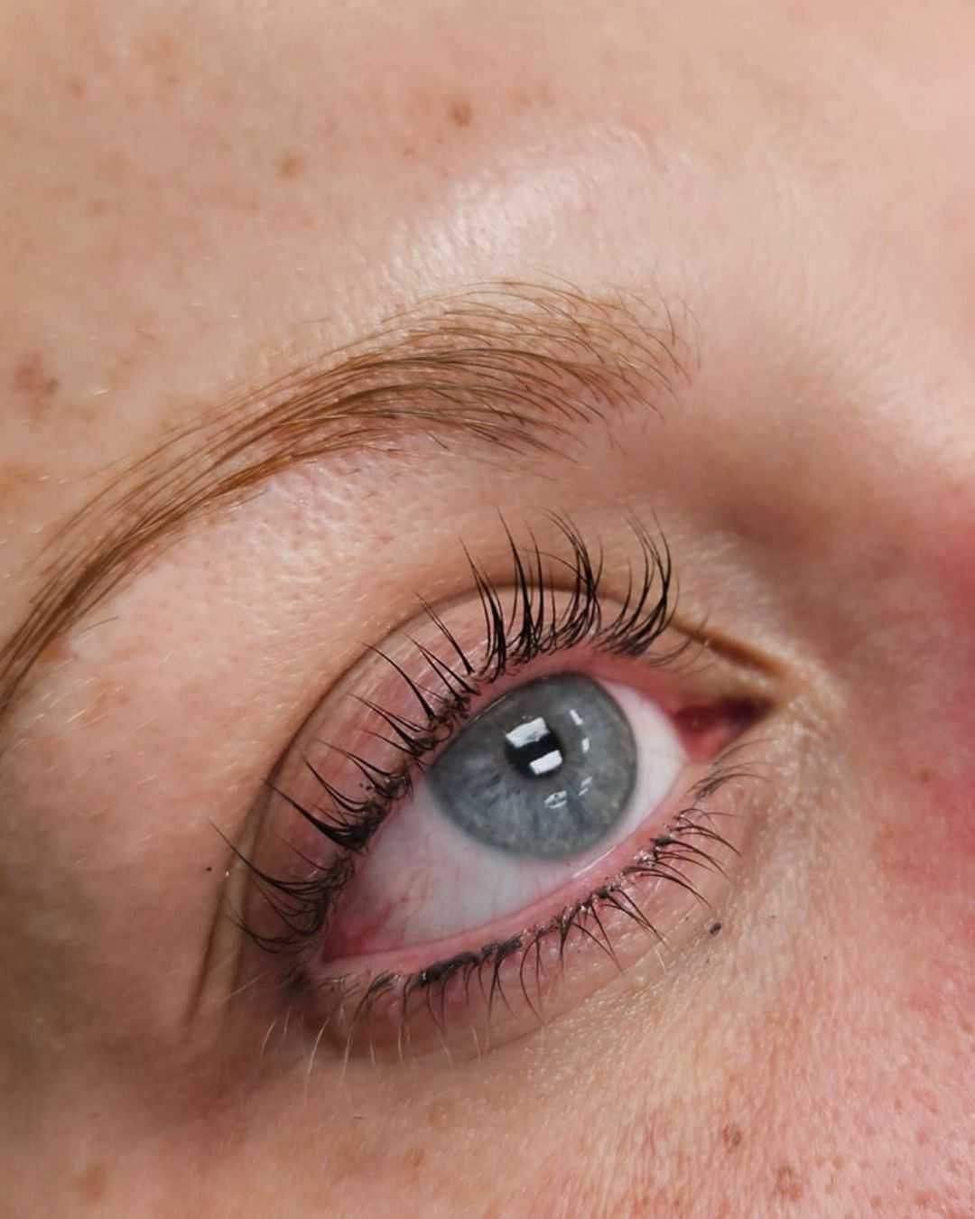 Close-up of a blue eye with long, curled lashes and light brown eyebrow.