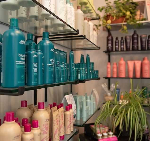 Shelves filled with various hair care products in a salon, surrounded by plants.